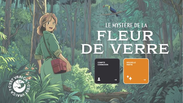 Le Mystère de la Fleur de Verre